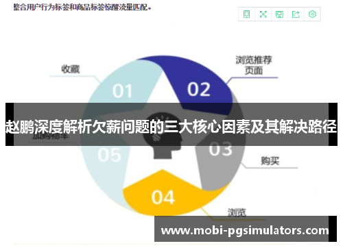 赵鹏深度解析欠薪问题的三大核心因素及其解决路径