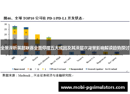 全景深析英超联赛全面停摆五大成因及其深层次背景影响解读趋势探讨