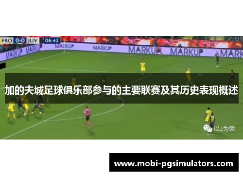 加的夫城足球俱乐部参与的主要联赛及其历史表现概述